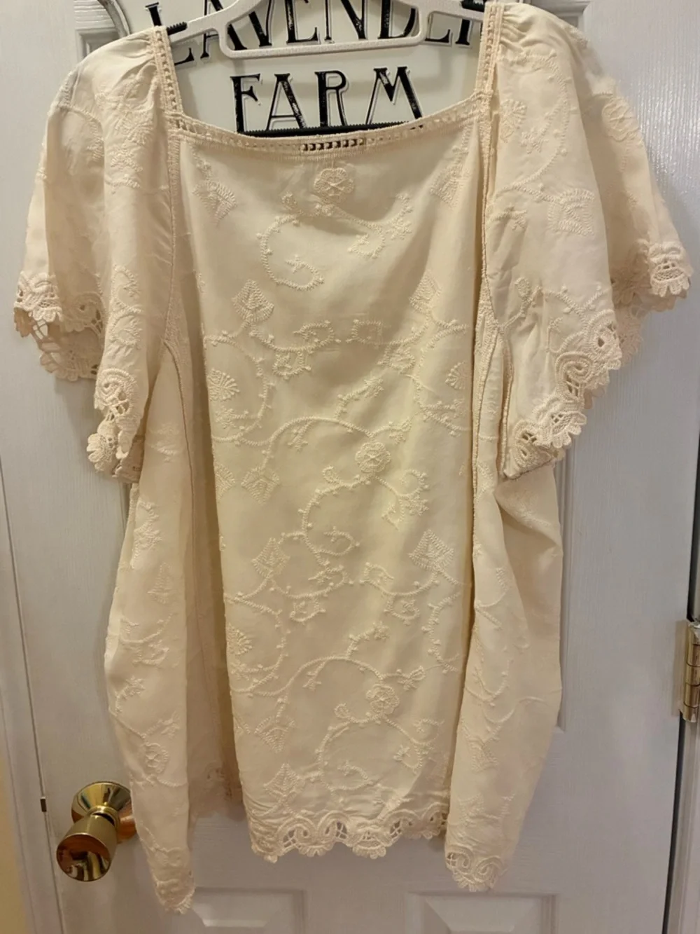 Democracy Cream Eyelet Lace Scoop Neck Flutter Sleeve Top - Picture 6 of 11